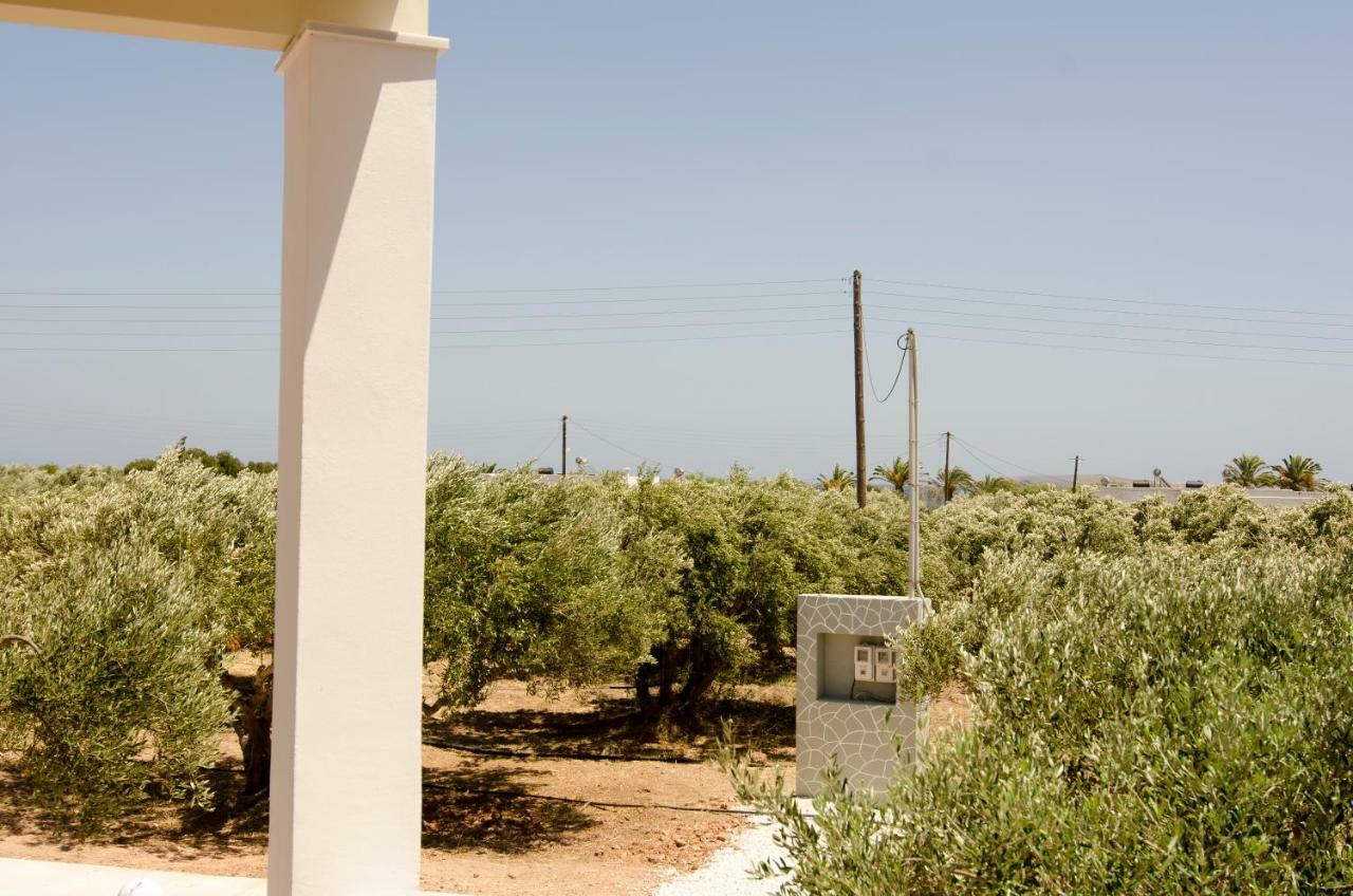 Giorgos Villa Палекастрон Экстерьер фото